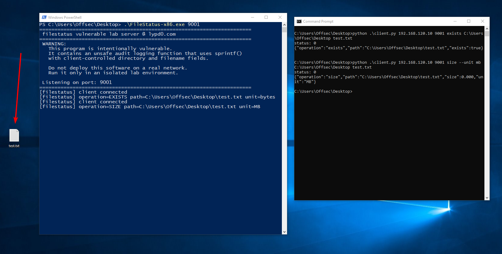 Normal program usage - server and client side by side